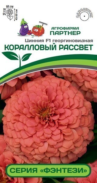 Партнер Цинния F1 КОРАЛЛОВЫЙ РАССВЕТ / георгиновидная ^(4шт), изображение 0