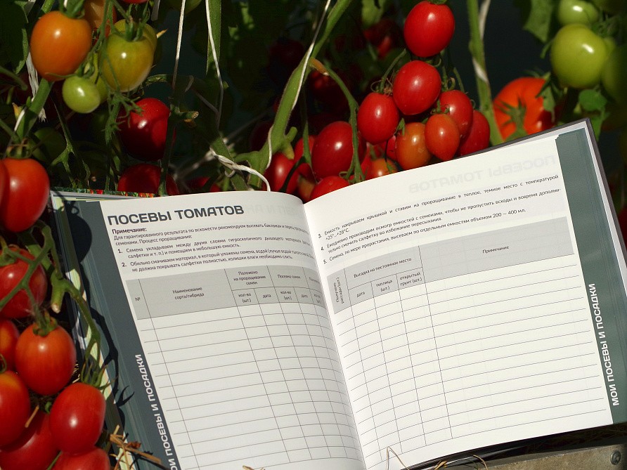 Ежедневник "Ежедневно с Партнером", изображение 5