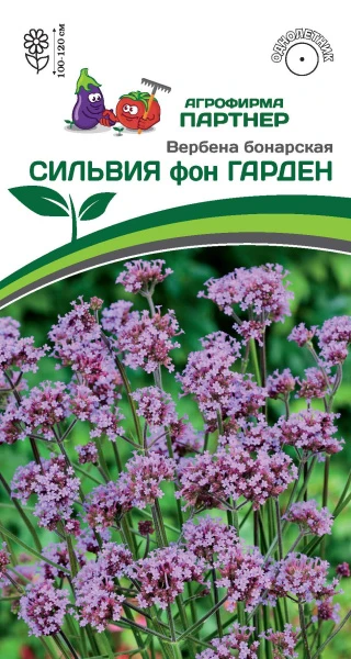 Партнер Вербена бонарская СИЛЬВИЯ фон ГАРДЕН ^(10шт в амп), изображение 0
