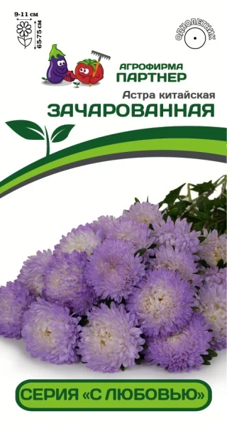 Партнер Астра китайская ЗАЧАРОВАННАЯ ^(5шт в амп), изображение 0