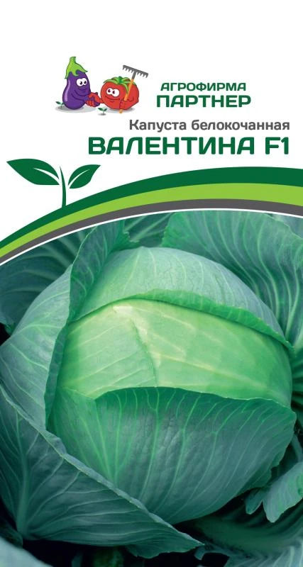 Партнер Капуста б/к ВАЛЕНТИНА F1 ^(0,2г в амп), изображение 0